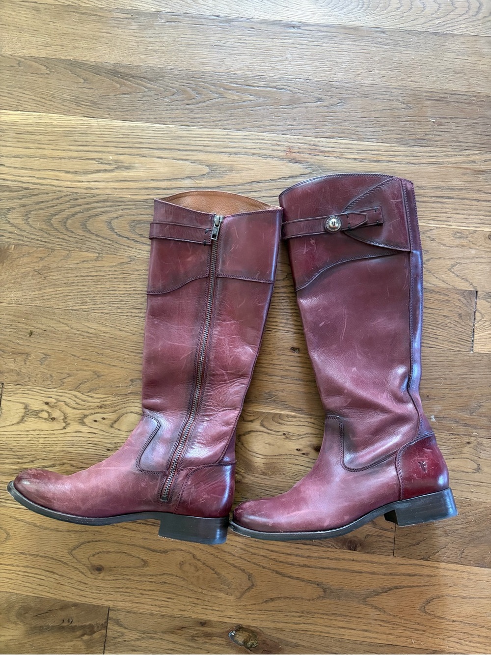 Frye Molly Riding Boots in wine excellent condition